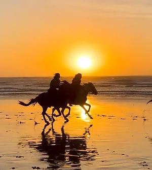 Balades à cheval